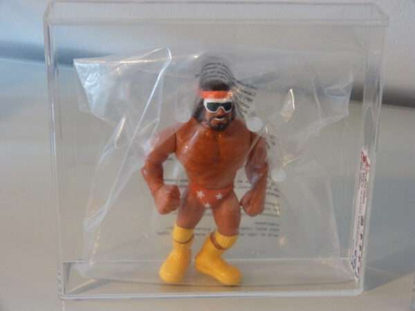 WWF Hasbro Mail Away SIB